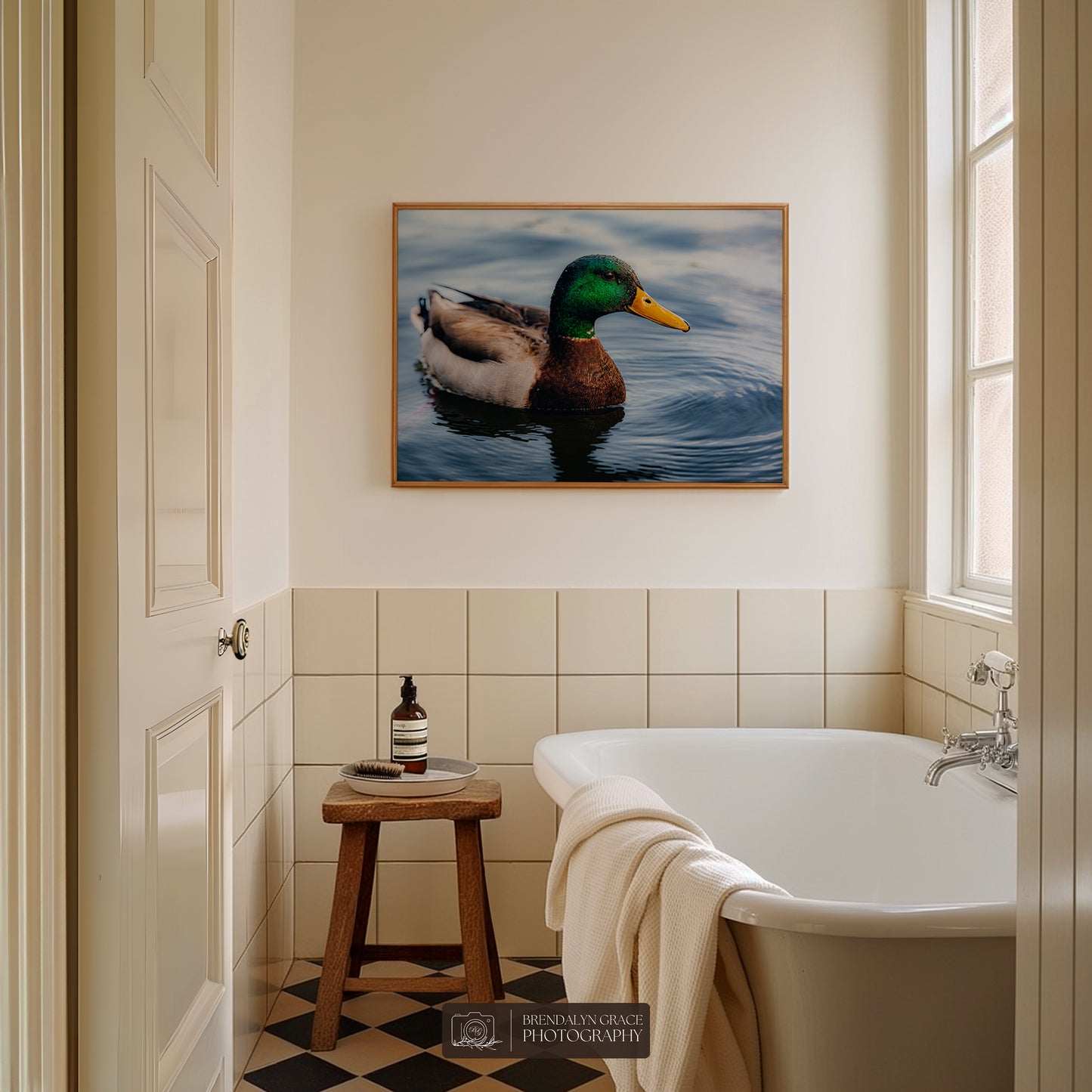 Lake Burton Mallard Duck