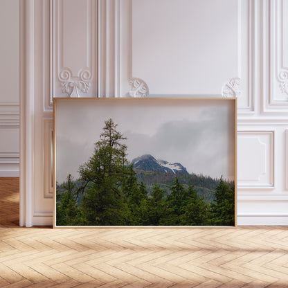 The Mountain Through the Trees