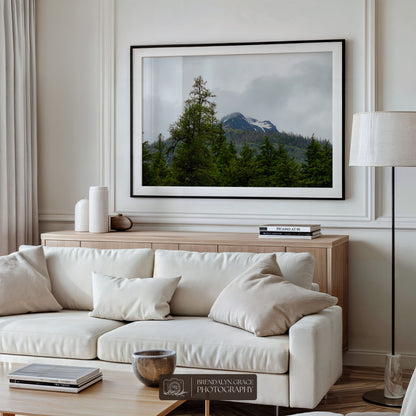 The Mountain Through the Trees