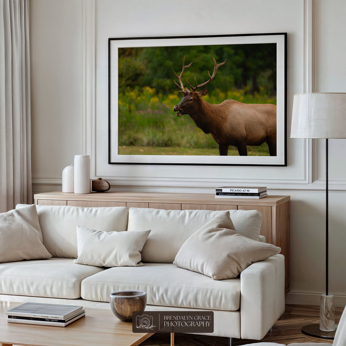 Young Bull Elk of the Smokies