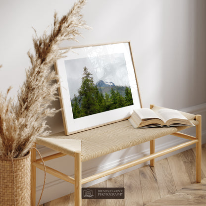 The Mountain Through the Trees