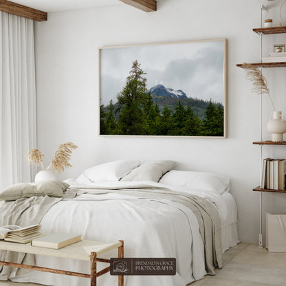 The Mountain Through the Trees