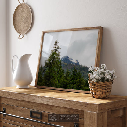 The Mountain Through the Trees