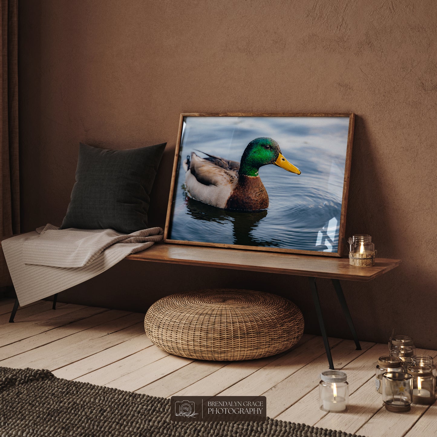 Lake Burton Mallard Duck