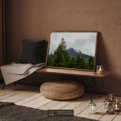 The Mountain Through the Trees