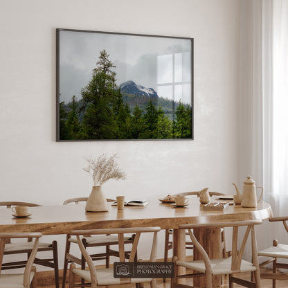 The Mountain Through the Trees