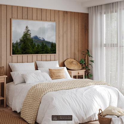 The Mountain Through the Trees