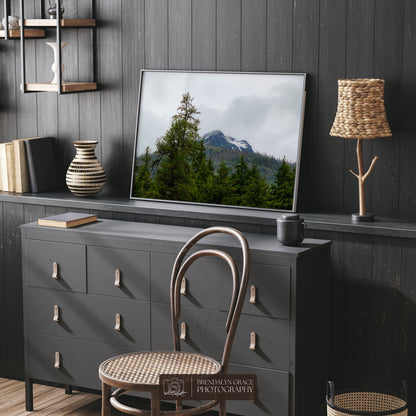 The Mountain Through the Trees