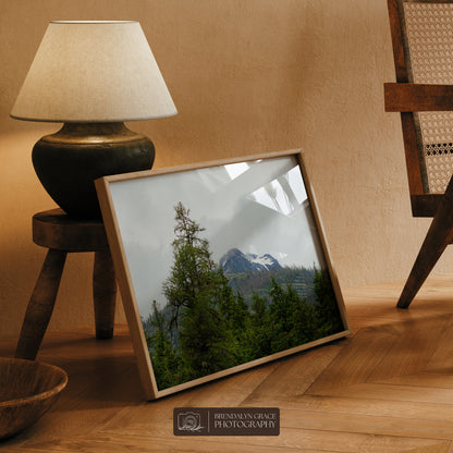 The Mountain Through the Trees