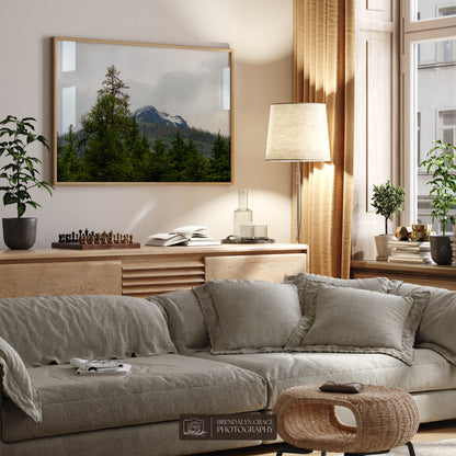 The Mountain Through the Trees