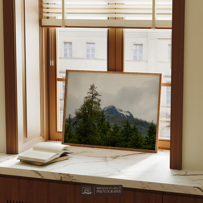 The Mountain Through the Trees