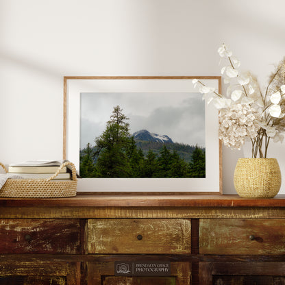 The Mountain Through the Trees