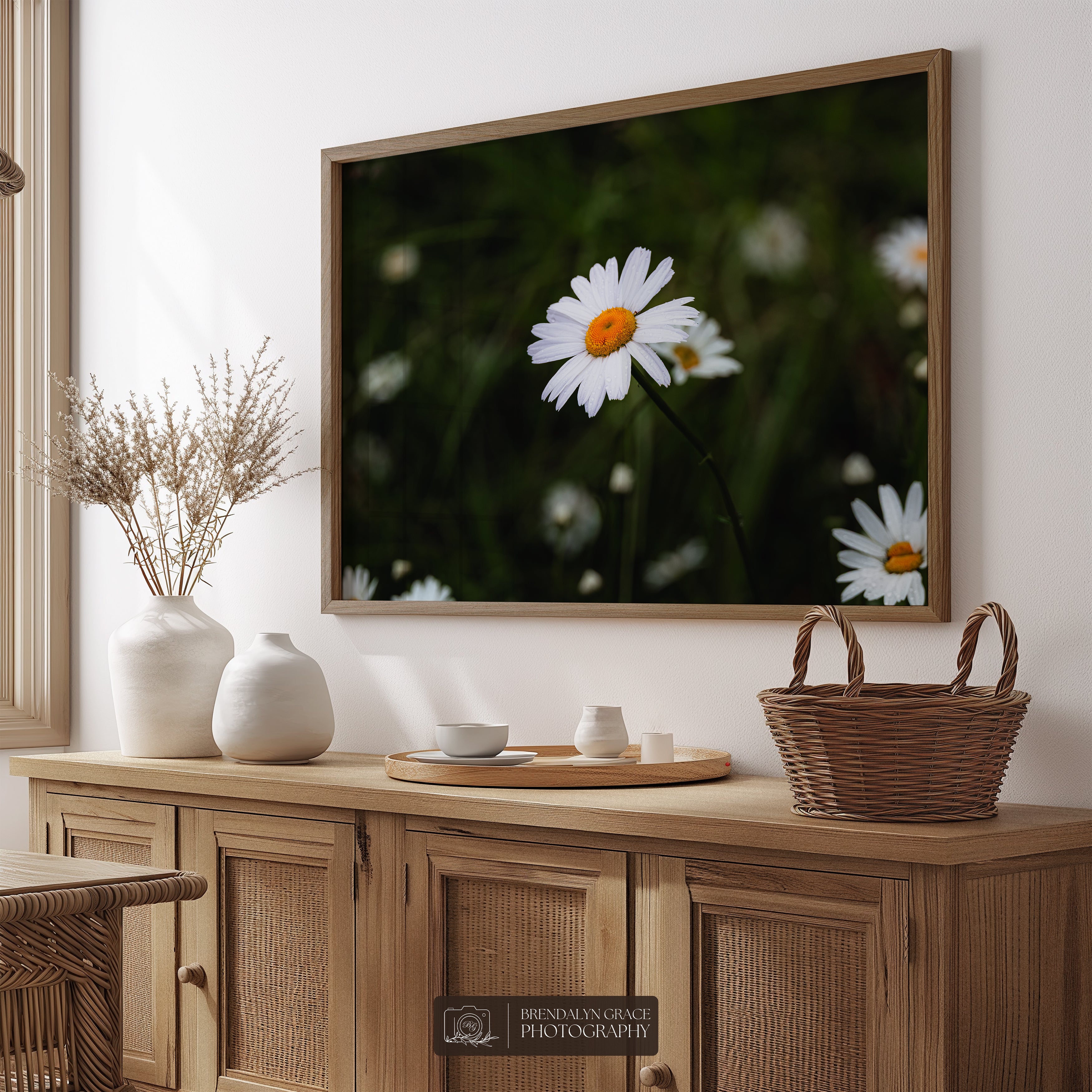 A Wild Daisy – Brendalyn Grace Photography
