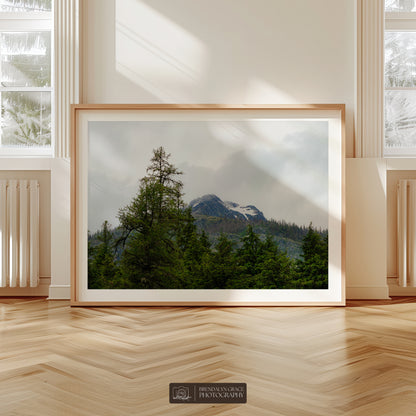 The Mountain Through the Trees